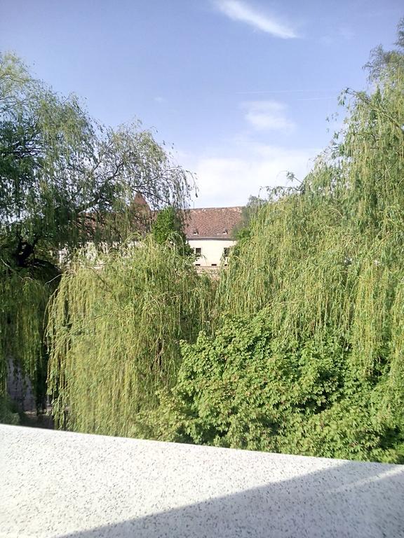 Bastya Apartmanhaz Sarvar Bagian luar foto