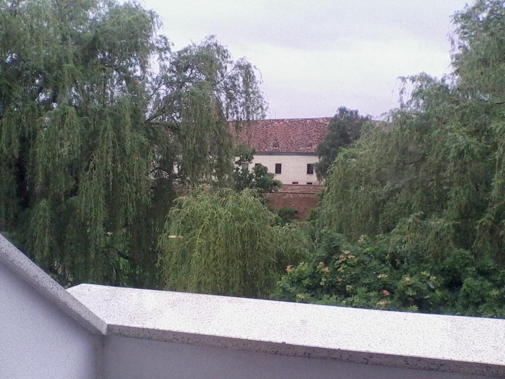 Bastya Apartmanhaz Sarvar Bagian luar foto
